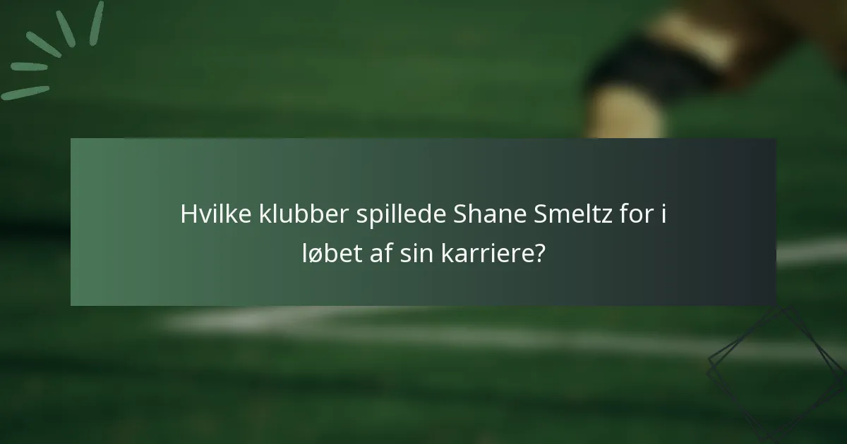 Hvilke klubber spillede Shane Smeltz for i løbet af sin karriere?